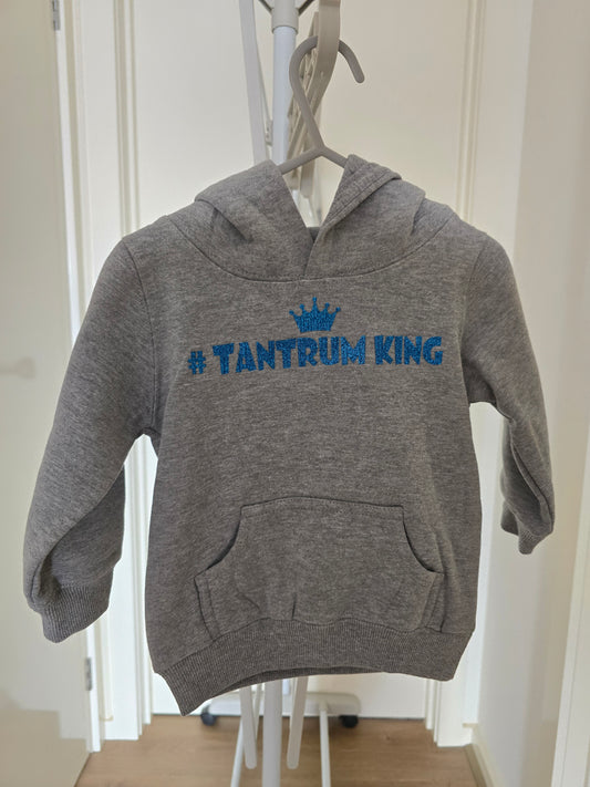 Size 2 Kids Hoodie