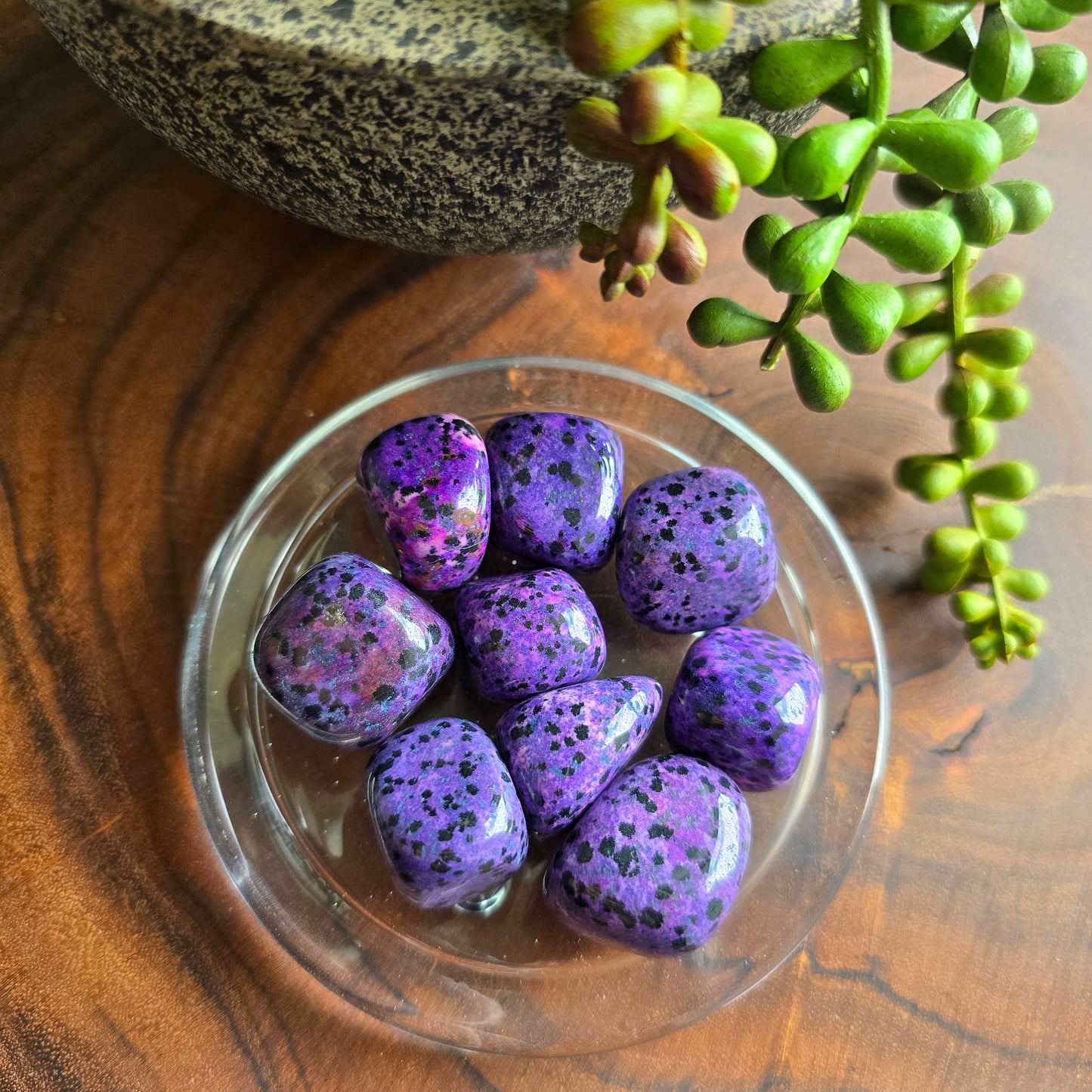 Purple Dalmatian Jasper Tumble Stone
