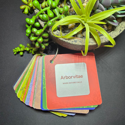 Wellness Cards Essential Oil