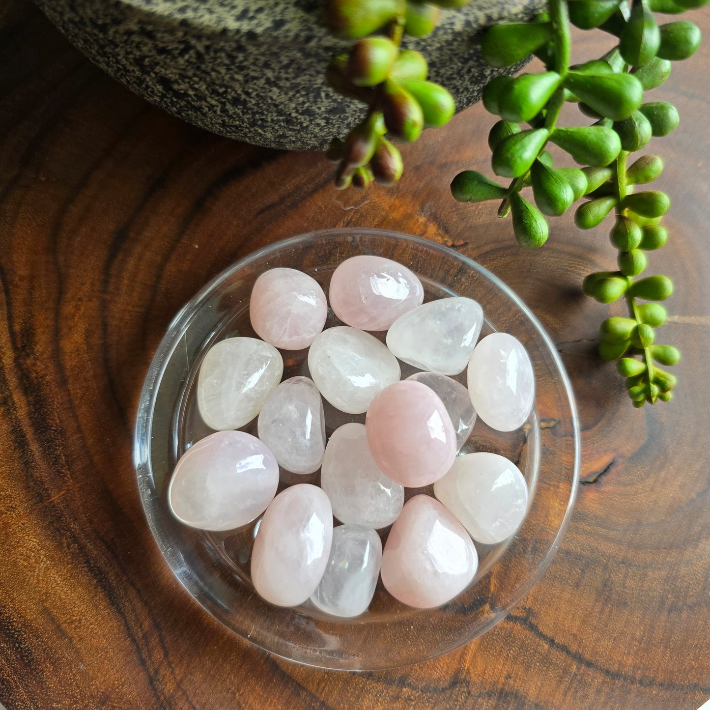 Rose Quartz Tumble Stone